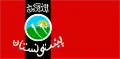 Drapeau du Pashtunistan&nbsp;(en) : le takbir y est inscrit au-dessus de l'emblème,.