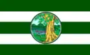 Drapeau de Phichit