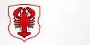 Drapeau de Radoun