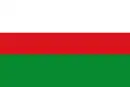 Drapeau de Rioblanco