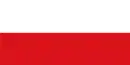 Drapeau de San Carlos