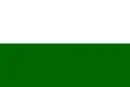 Drapeau de San Martín