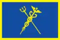 Drapeau du district