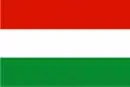 Drapeau de Tona