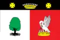 Drapeau du district