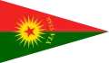 Drapeau des YJA-Star