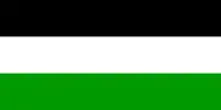 Variante du premier drapeau de l'État islamique d'Afghanistan (1992).