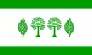 Drapeau de Buchholz