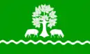 Drapeau de Schafstedt