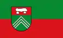 Drapeau de Thuine