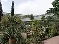 Kaktus Haus.