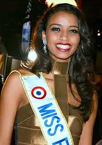 Flora Coquerel, Miss Orléanais 2013 et Miss France 2014.