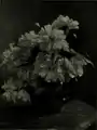 "Flowers