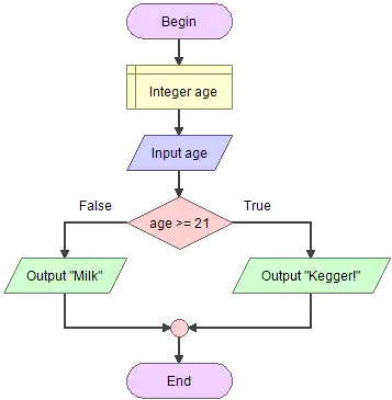 Flowgorithm : Age and Drink