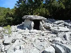 Dolmen no&nbsp;14 de Font Méjanne.