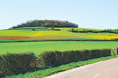 Le sommet du Mont, qui sert de limite de commune entre Fontangy et la Motte-Ternant.