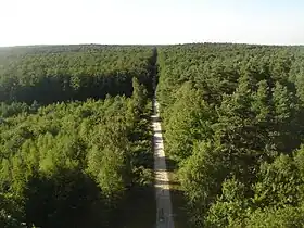 Image illustrative de l’article Forêt domaniale