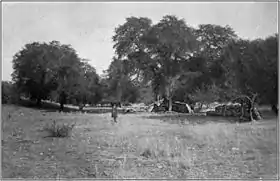Image illustrative de l’article Fort Buchanan