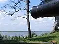 Fort McAllister en 2014