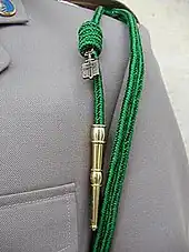 Fourragère aux couleurs du ruban de l'Ordre de la Libération.