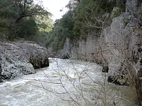 Rio Salazar.