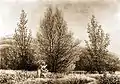 Caspar David Friedrich: Printemps, 1826