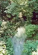 Le vallon des brumes.