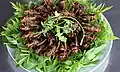 Grillons entiers en salade, la consommation de grillons entiers suscite de forts freins culturels en Occident.
