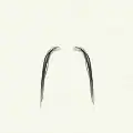 Moustache Fu Manchu