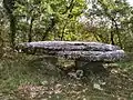 Dolmen no&nbsp;1 de Marcigaliet