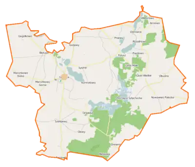Localisation du ville au sein de la gmina Gąsawa.