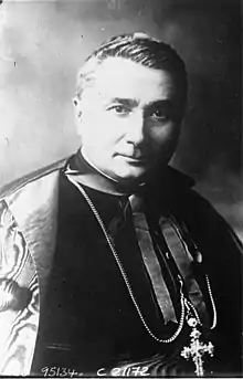 Image illustrative de l’article Gaetano Bisleti