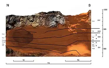 Galería aujourd'hui, découpée le long de la Trinchera del Ferrocarril : à droite, le puits (TN) donne dans la galerie (TG) qui mène à la Covacha de los Zarpazos (TZ), la chambre à gauche.