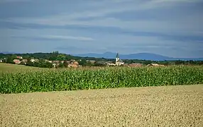 Image illustrative de l’article Sundgau