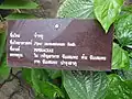 Panneau descriptif en langue thaï.