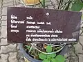 Panneau descriptif en langue siamoise (thaï)