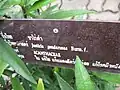 Panneau descriptif en langue thaï