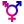 icône décorative