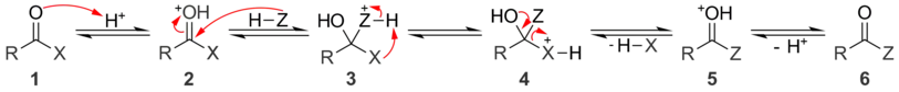 Mécanisme général de la substitution nucléophile d'acyle sous catalyse acide