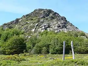 Le mont Gerbier de Jonc