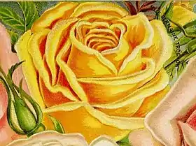 Image illustrative de l’article Mademoiselle Germaine Trochon