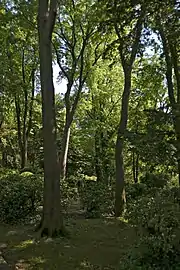 Giardini Papadopoli