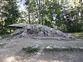 Crocodile.