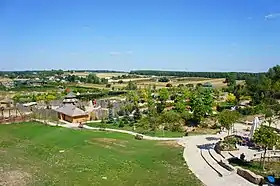 Trzcianki (Puławy)