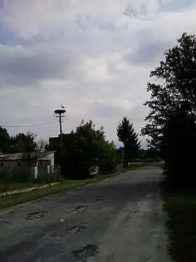 Zamszany