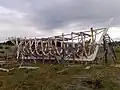 La réplique de la goélette Ancud, la structure du casque terminée.