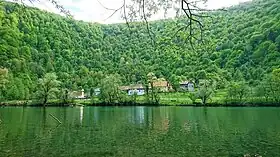 Goršeti