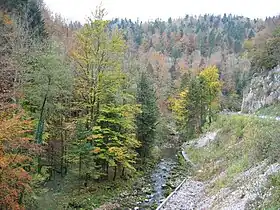 Vue sur les gorges en automne.