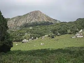 Province de Sofala