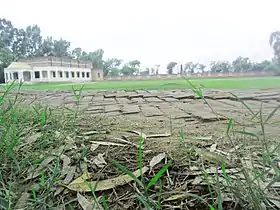 Bhawana